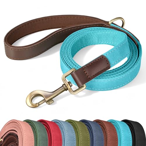 PU Leather Dog Leash for Medium Dogs (Light Blue / 3/4''x 5FT)