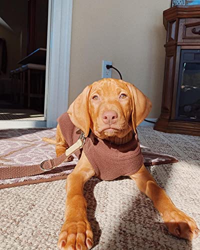Stretch Fleece Vest Dog Sweater (Small Length (9") / Brown)