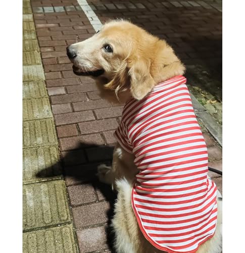 Turtleneck Dog Shirt Cute Doggie Embroidery Super Soft Dog Sweatshirt Stretchy Striped Puppy Pullover for Cats Small Medium Large Dogs (Red Striped / 5X-Large)