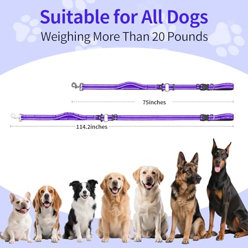 Hands Free Dog Leash by Kazazoo (Purple / L)