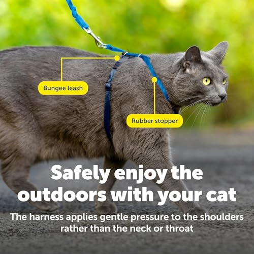 Come with Me Kitty Harness and Bungee Cat Leash (Large (Pack of 1) / Royal Blue)