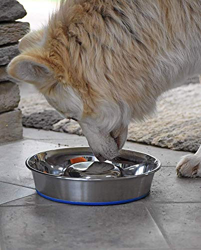 OurPet's DuraPet Slow Feed Stainless Steel Dog Bowl (Large (6 Cups))