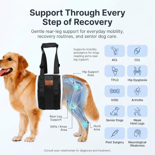 Dog Lifting Sling Dog Lift Harness for Back Legs (Medium / Black)