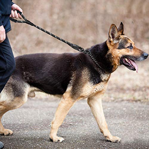 Nylon Short Traffic Leash with Padded Handle (Rope-Black)