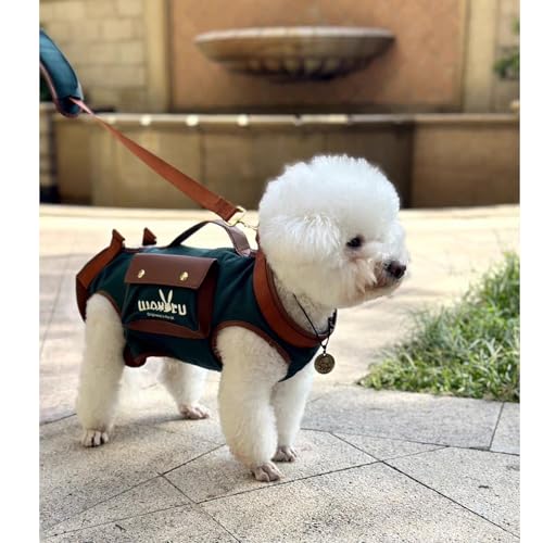 Dog Lift Harness Dog Carrier Sling for Small Dogs & Cats (X-Small(2-5 LBS) / 1.0 Green)
