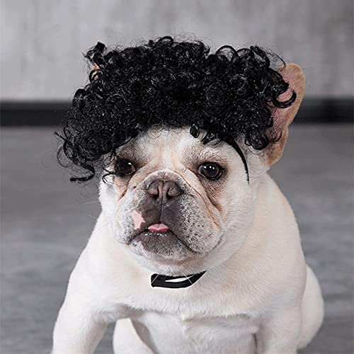 Dog Costume Cat Apparel Dog Toys Curly Braids Headgear Wigs Styling Cute Funny Pet Hair Accessories Decoration for Halloween (Black)