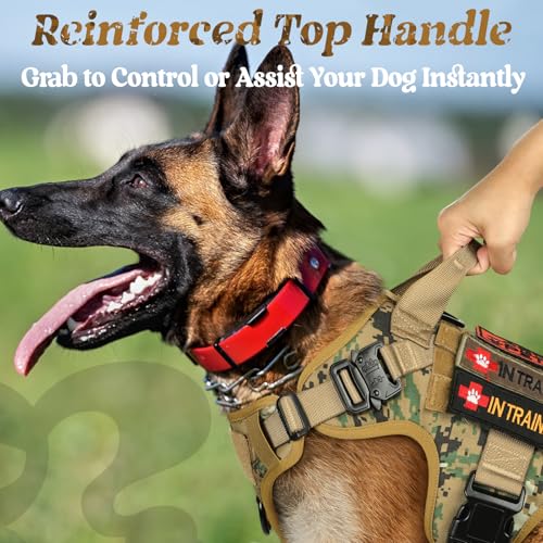 Tactical Dog Harness for Large (Brown Camo / Large)