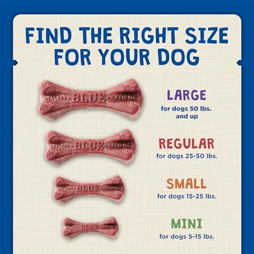 Large Dental Bones (27 Ounce (Pack of 1))