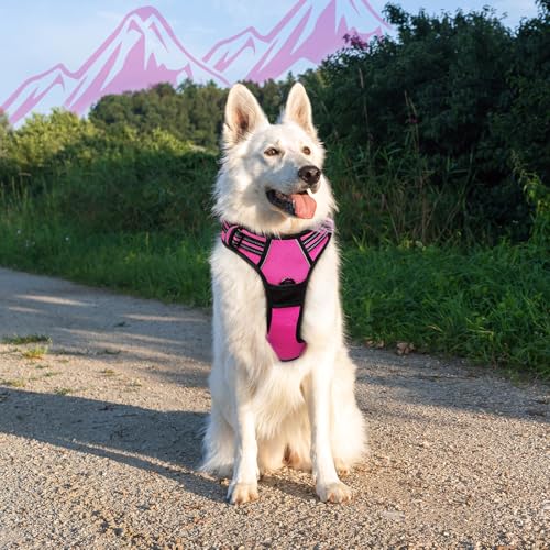 Dog Harness for Large Dogs (X-large / Rose Red)