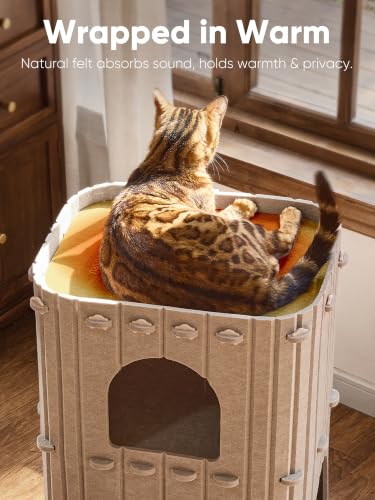 Cat House for Indoor Cats
