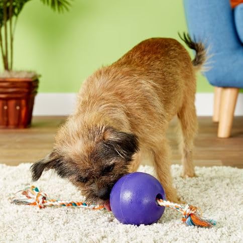 Romp-N-Roll Rope & Ball Dog Toy, 4.5 in Small, Purple (Purple / Small (4.5 in))