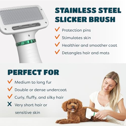2-in-1 Dog Hair Dryer with Brush for Small Dogs and Cats, Pet Blow Dryer