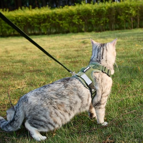Cat Harness and Leash Set (Dark Green / XX-Large)