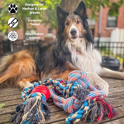 XL Dog Rope Toys for Aggressive CHEWERS (red, white, blue, orange / 4 Piece Set)