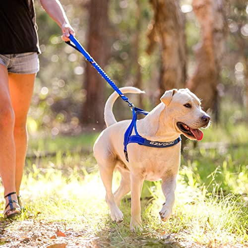 Zero Shock Bungee Dog Leash (Red / 25-Inch)