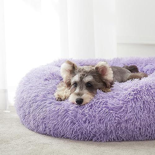 Calming Dog Bed & Cat Bed (Purple / 27.0"L x 27.0"W x 8.0"Th)