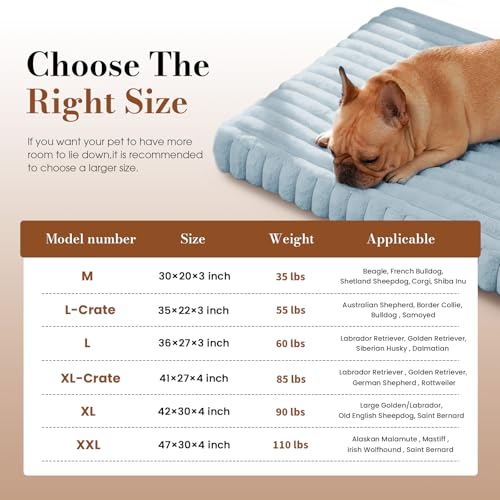 Extra Large Dog Bed Orthopedic Foam with Waterproof Lining (XX-L(47"*29"*4") / Blue)