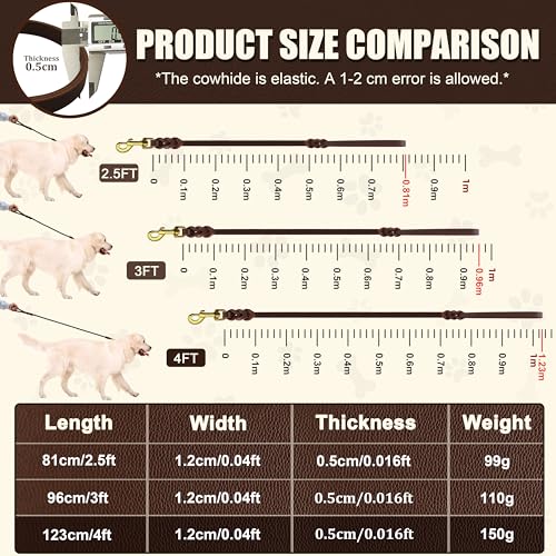 4ft Leather Dog Leash Heavy Duty Pet Walking Training Lead (4ft)