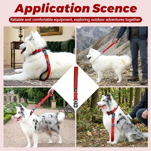 14 Inch Traffic Dog Leash with Padded Handle (Red)