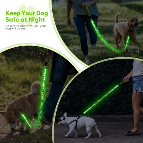 Light Up Dog Leash (Green)