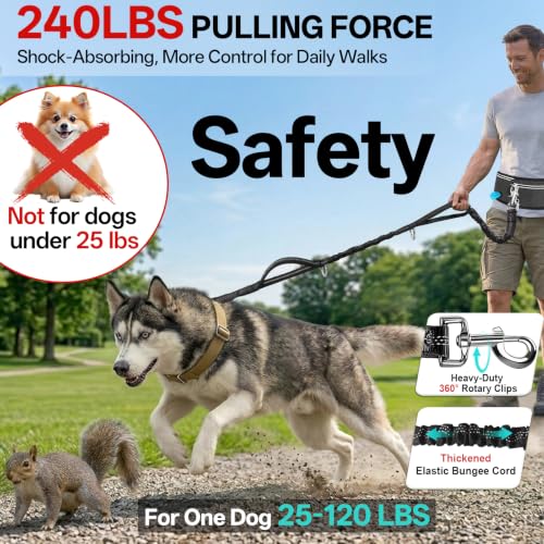 Hands Free Dog Leash