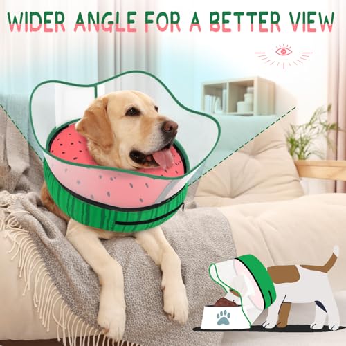 Raised Inflatable Dog Cone Collar to Stop Licking (Watermelon / XL(Neck 14"-18"))