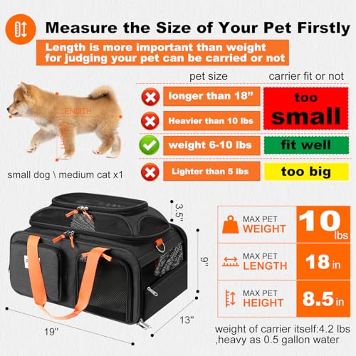 19x13x9 top Expandable pet Carrier (19.0"L x 13.0"W x 9.0"H)
