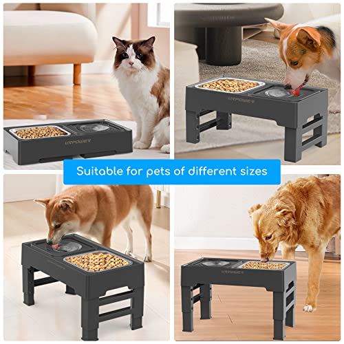 2-in-1 Elevated Dog Bowls 4 Height Adjustable Raised Dog Bowls (Black / No Spill Water Bowl)
