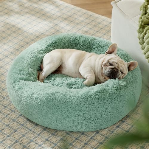 Calming Dog Bed Medium Size Dog Donut Washable Pet Bed (30"L x 30"W x 8"Th / Apple Green)