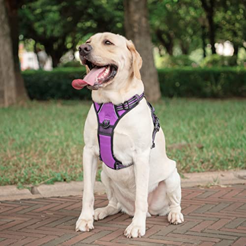Dog Harness Large (XL / Purple)