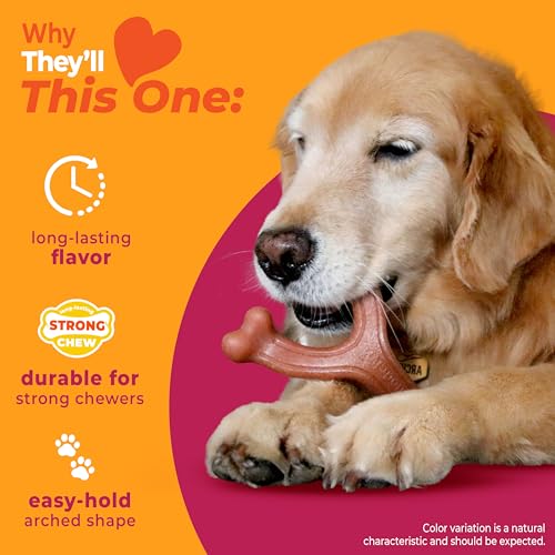 Strong Chew Wishbone Dog Toy (Wishbone / Large)