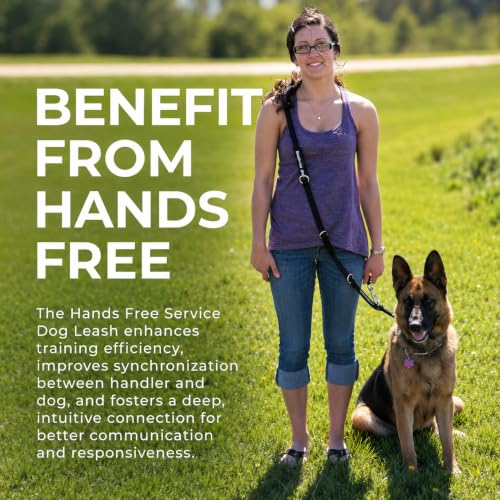ActiveDogs Hands Free Dog Leash (6.5')