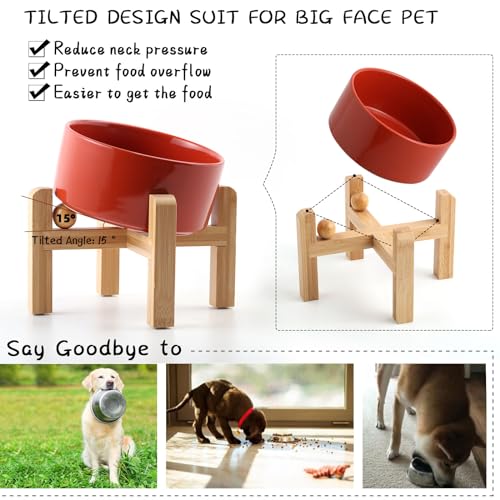 Raised Elevated 15°Slanted Ceramic Dog Bowl for Small Breeds (Rust Red / 1.7 CUPS - Puppy/Small Dogs & Cat Bowls)
