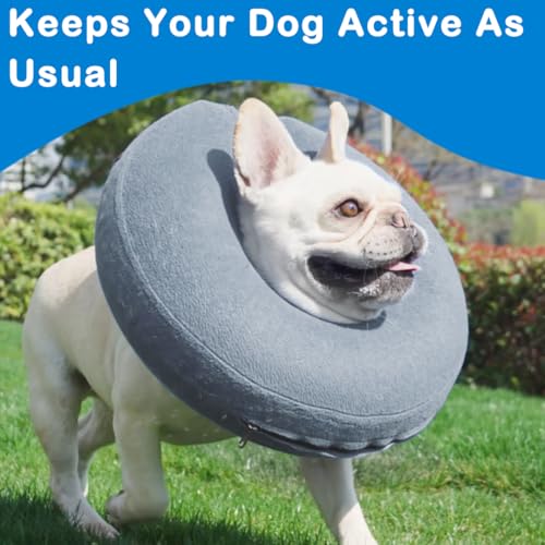 Inflatable Dog Cone Collar (Light Grey / Large [Neck: 13"-18"])