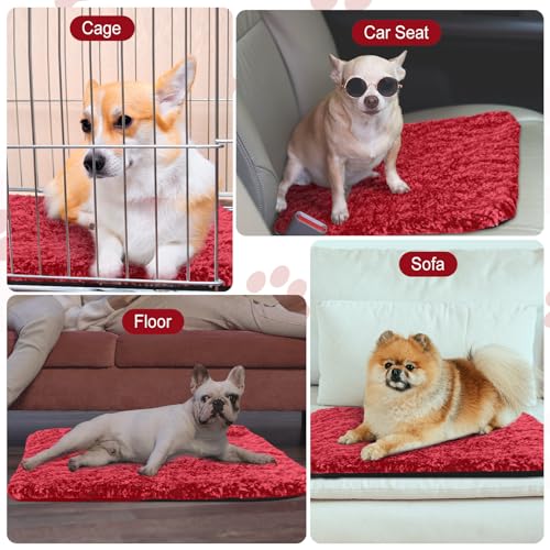 4 Pack Self Warming Cat Mat for Pets (16 x 20 Inch / Red)