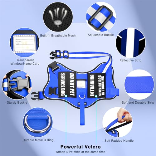 Service Dog Vest Harness and Leash Set+10 Patches (Medium / Blue)