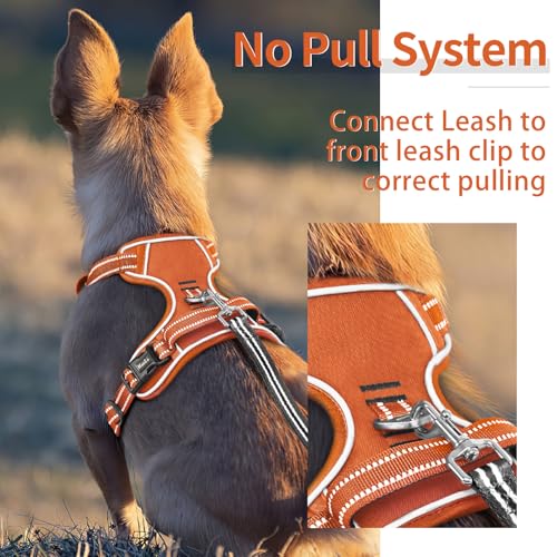 Dog Harness for Large Dogs No Pull Dog Vest Harness for Large Dog with Soft Padded Handle Reflective for Outdoor Training (L / Pumpkin Orange)