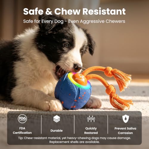 Smart Interactive Dog Toys (Blue)