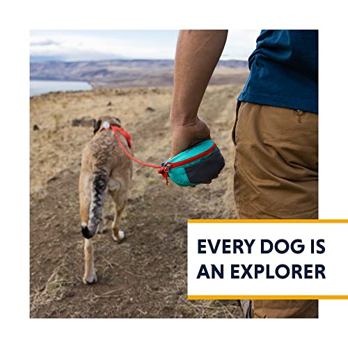 Hitch Hiker Dog Leash (Sunny Lime / One Size)