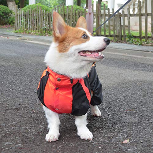 Welsh Corgi Dog Hooded Raincoat (D-L (for Corgi) / Red)
