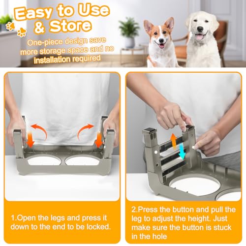 Elevated Dog Bowls for Small Dogs 3 Height Adjustable Raised Dog Bowl Stand with 25oz Stainless Steel Food Bowls Anti (Light Brownish Gray / 6" for Small Dogs)