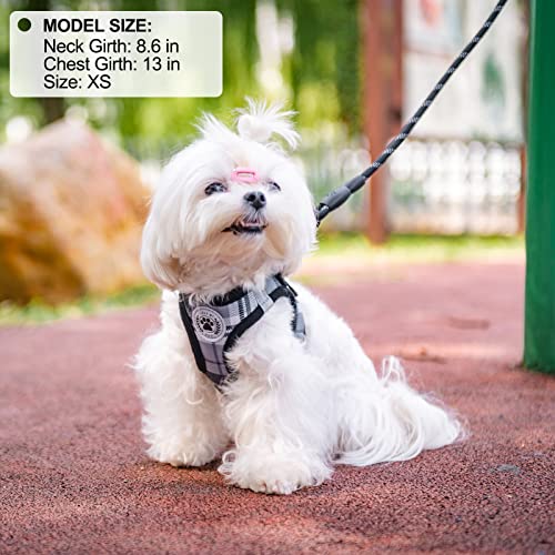 Small Dog Harness and Leash Set (Small(Chest Girth 14.5" - 16") / Grey)