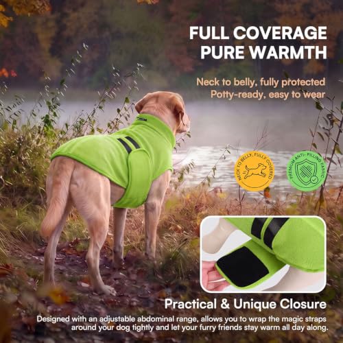 Small Dog Sweater (Green / X-Small)