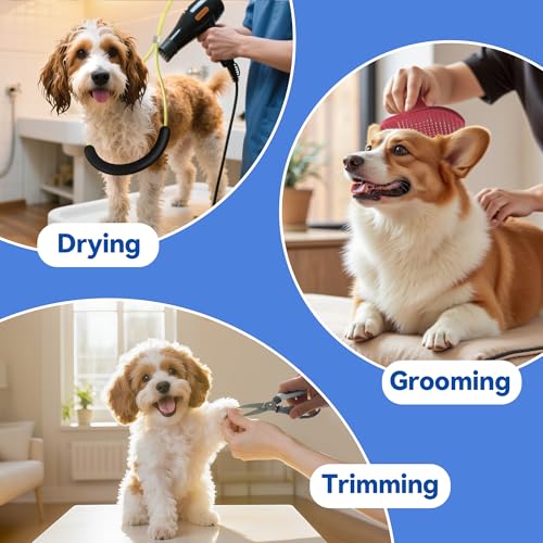 Adjustable Foldable Dog Grooming Arm with Heavy