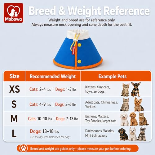 Soft Dog Cone Collar for Dogs & Cats (Blue / L)