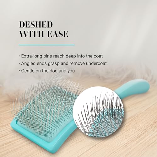 Big G Dog Slicker Brush for Dogs (Large / Teal)