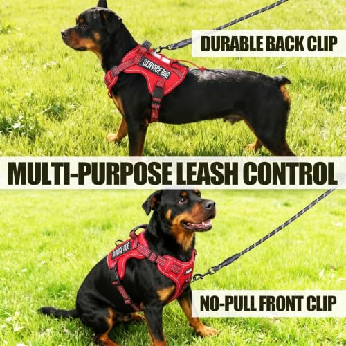 Dog Harness and Leash Set for Medium Dogs (Red / M)
