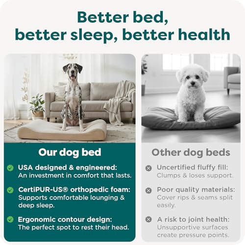 Orthopedic Dog Bed for Large Dogs (Jumbo Plus/XXL / Cream)