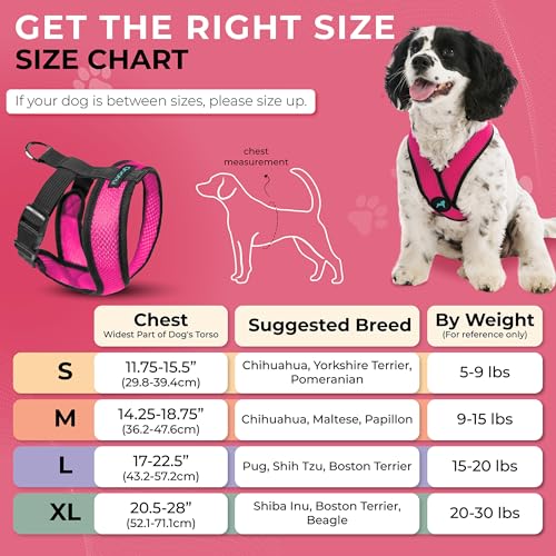 Comfort X Head (Small Chest (11.75-15.5") / Flamingo Pink)
