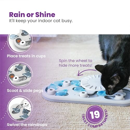 Nina Ottosson Rainy Day Puzzle & Play Cat Toy Treat Puzzle (Rainy Day / Treat Puzzle)